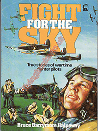 Fight for the Sky: True Stories of Wartime Fighter Pilots