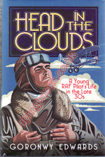 Head in The Clouds